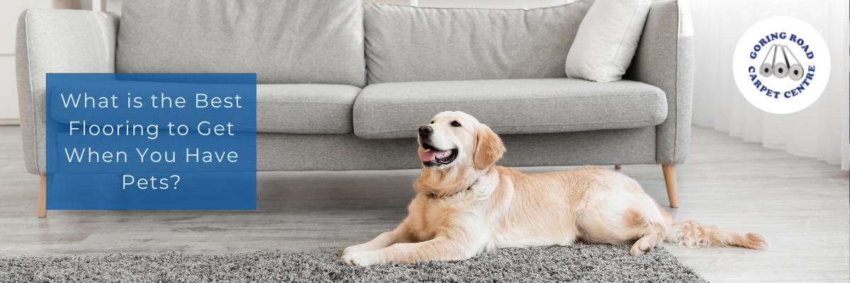 What is the Best Flooring to Get When You Have Pets?